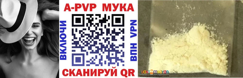APVP СК  Долгопрудный 