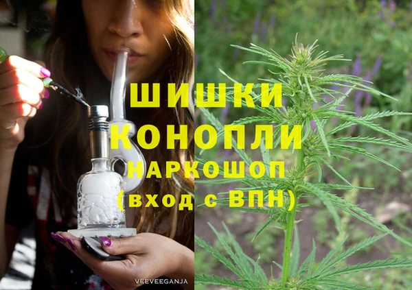 прущие грибы Белоозёрский