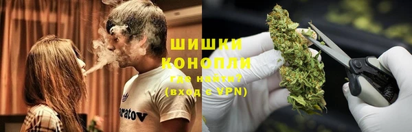 прущие грибы Белоозёрский