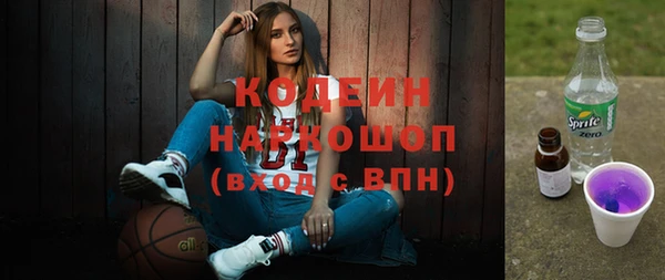 индика Баксан