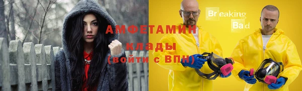 индика Баксан