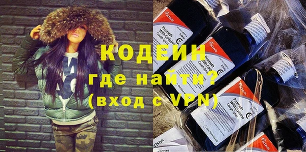 индика Баксан