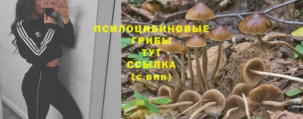 индика Баксан