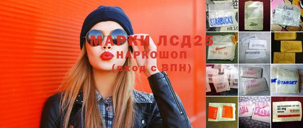 прущие грибы Белоозёрский