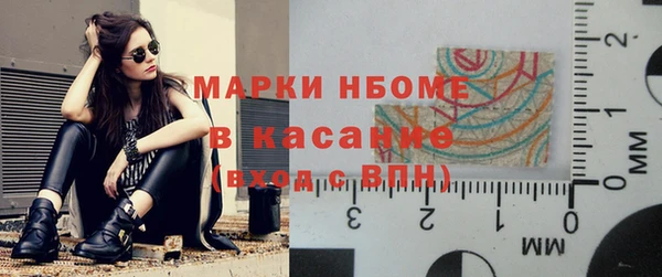 прущие грибы Белоозёрский